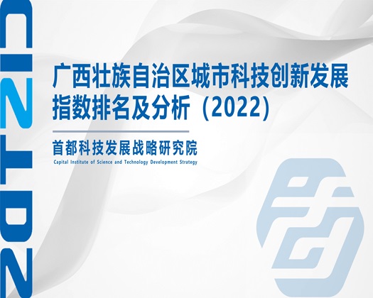 大鸡吧操逼av【成果发布】广西壮族自治区城市科技创新发展指数排名及分析（2022）